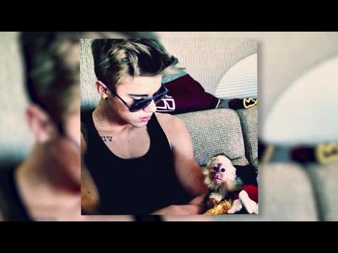 VIDEO : Justin Bieber Reoit Une Amende Sale Pour Son Singe