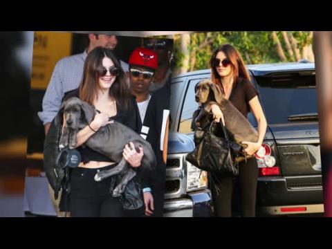 VIDEO : Kendall Jenner Debuts Her Great Dane Puppy
