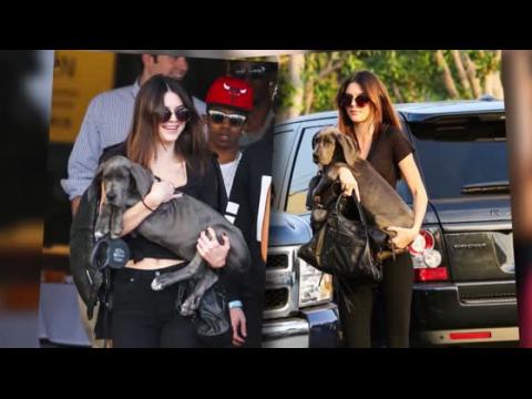 VIDEO : Kendall Jenner debuta su cachorro Gran Dans