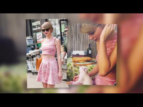 VIDEO : Taylor Swift And Her New Feline Friend