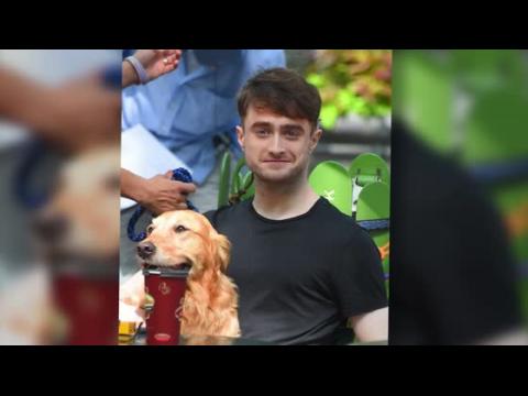 VIDEO : It's a Dogs Life For Daniel Radcliffe As He Films New Movie