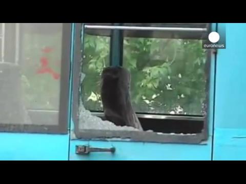 Ukraine : lâ€™armÃ©e resserre son Ã©tau autour de Donetsk et Lougansk