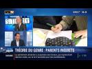 BFM Story: Enseignement de la théorie du genre à l'école: Jean-Hervé Le Niger rassure les parents d'élèves - 28/01