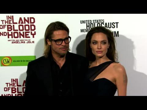 VIDEO : Brad Pitt and Angelina Jolie's Wine Named Best Rosé in World
