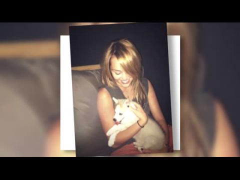 VIDEO : Miley Cyrus Left Heartbroken After Dog Floyd Dies