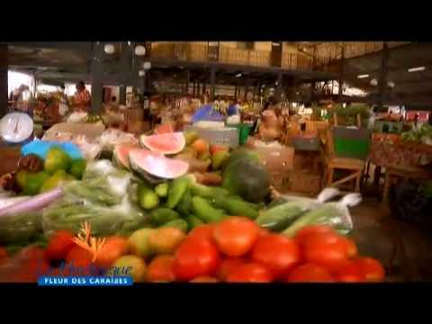 Martinique, une destination des centaines de voyages