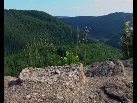 Le Parc naturel régional des Vosges du Nord en 1 minute