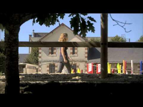 Haras de la Vendée - France