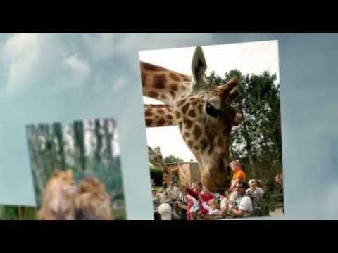 Le zoo de Jurques - France
