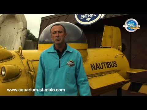 Directeur du Grand Aquarium de Saint-Malo - France