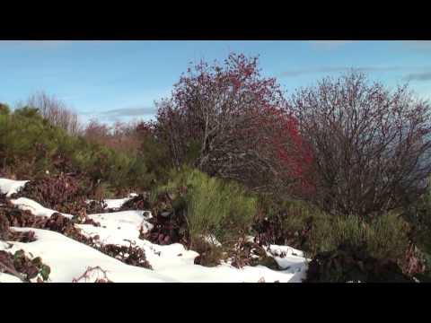 Balade dans le Pilat - France
