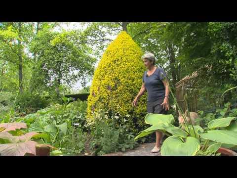 Normandie : Jardins de Castillon - France