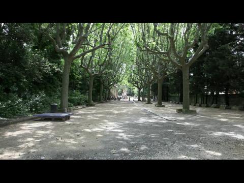 Alyscamps - Arles, France